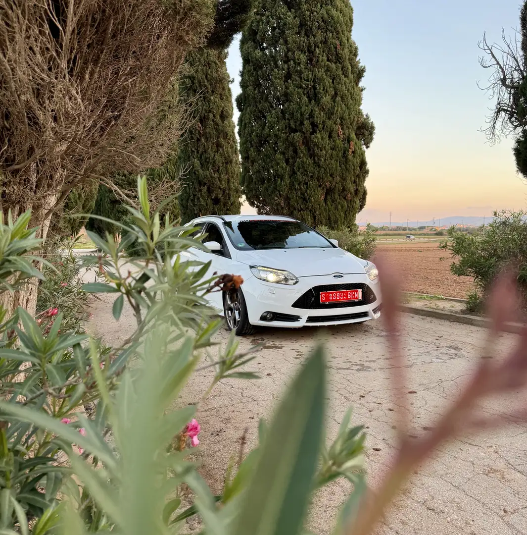 Ford Focus Sb.2.0 Ecoboost ST Plus 2014 - 2