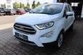 Ford EcoSport Titanium 1.0 EcoBoost Winter-Paket DAB+ Weiß - thumbnail 4