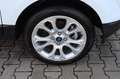 Ford EcoSport Titanium 1.0 EcoBoost Winter-Paket DAB+ Weiß - thumbnail 10