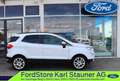 Ford EcoSport Titanium 1.0 EcoBoost Winter-Paket DAB+ Weiß - thumbnail 37