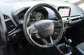 Ford EcoSport Titanium 1.0 EcoBoost Winter-Paket DAB+ Weiß - thumbnail 11