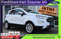 Ford EcoSport Titanium 1.0 EcoBoost Winter-Paket DAB+ Weiß - thumbnail 1