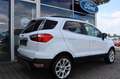 Ford EcoSport Titanium 1.0 EcoBoost Winter-Paket DAB+ Weiß - thumbnail 9