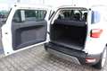 Ford EcoSport Titanium 1.0 EcoBoost Winter-Paket DAB+ Weiß - thumbnail 7