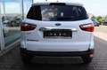 Ford EcoSport Titanium 1.0 EcoBoost Winter-Paket DAB+ Weiß - thumbnail 6