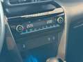 Toyota Yaris Cross Hybrid FWD Adventure Grün - thumbnail 13
