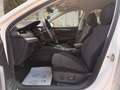 Skoda Octavia Combi 2,0 TDI Style DSG/AHK/ACC/SHA/TWA/RFK/SHZ... Weiß - thumbnail 23