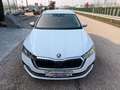 Skoda Octavia Combi 2,0 TDI Style DSG/AHK/ACC/SHA/TWA/RFK/SHZ... Weiß - thumbnail 3