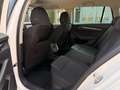 Skoda Octavia Combi 2,0 TDI Style DSG/AHK/ACC/SHA/TWA/RFK/SHZ... Weiß - thumbnail 29