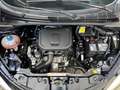 Lancia Ypsilon unipro, tagliandata LEGGERE LA DESCRIZIONE!!! - thumbnail 15