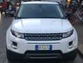 Land Rover Range Rover Evoque Range Rover Evoque 5p 2.2 td4 Dynamic 150cv Bianco - thumbnail 3