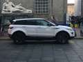 Land Rover Range Rover Evoque Range Rover Evoque 5p 2.2 td4 Dynamic 150cv Bianco - thumbnail 2