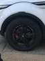 Land Rover Range Rover Evoque Range Rover Evoque 5p 2.2 td4 Dynamic 150cv Bianco - thumbnail 7