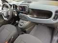 Fiat Panda Panda 1.0 firefly hybrid Cross s&s 70cv 5p.ti Nero - thumbnail 11