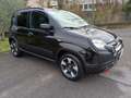 Fiat Panda Panda 1.0 firefly hybrid Cross s&s 70cv 5p.ti Nero - thumbnail 3