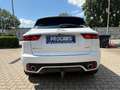 Jaguar E-Pace E-PACE Chequered Flag D180 AWD Aut.*LED*PANO*AHK Weiß - thumbnail 13
