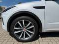 Jaguar E-Pace E-PACE Chequered Flag D180 AWD Aut.*LED*PANO*AHK Weiß - thumbnail 5