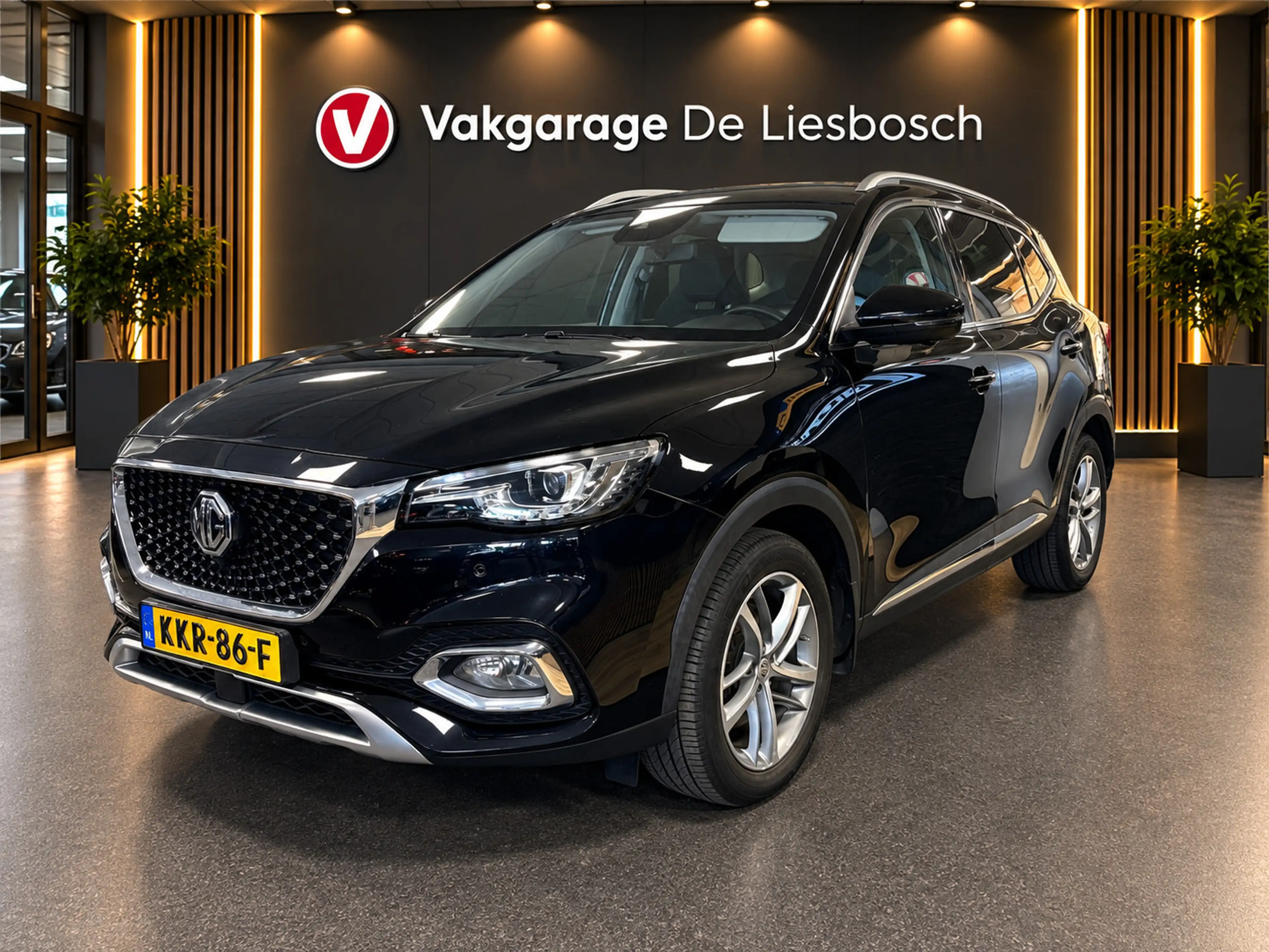 MG EHS 1.5 TGDI Luxury PHEV / automaat / 360camera / Lede