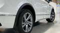 Volkswagen Tiguan TDI R-Line 4Motion, IQ-LED, ACC, AHK, Kamera Weiß - thumbnail 27