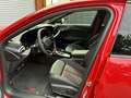 Audi RS5 RS5 Avant, 470 kW Rot - thumbnail 19