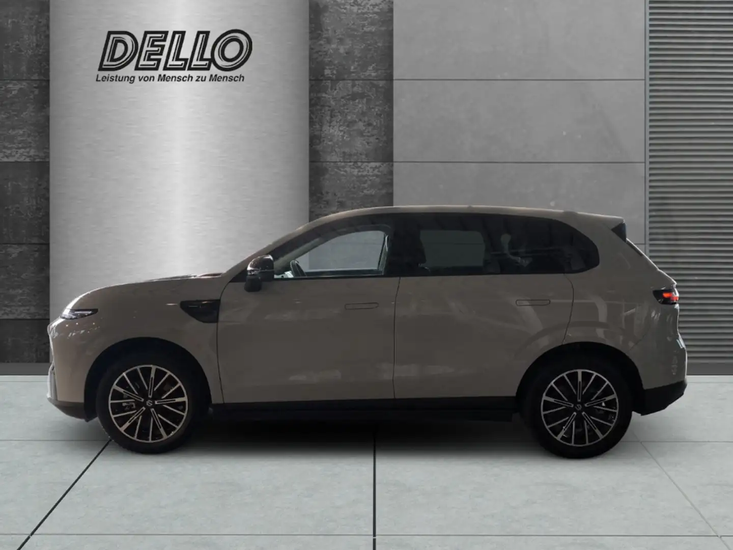 Leapmotor Design Pro Max Navi Leder Digitales Cockpit Sounds Grau - 2