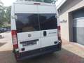 Fiat Ducato 2.3 L4H2 SCHECKHEFT+KLIMA+HU-09/2026 Blanco - thumbnail 8