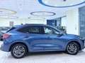 Ford Kuga Kuga III 2020 2.0 ecoblue ST-Line X 2wd 120cv auto Blu/Azzurro - thumbnail 5