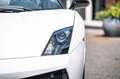 Lamborghini Gallardo 5.0 V10 Spyder Volleding gedocumenteerd Blanc - thumbnail 14