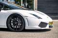 Lamborghini Gallardo 5.0 V10 Spyder Volleding gedocumenteerd Blanc - thumbnail 17