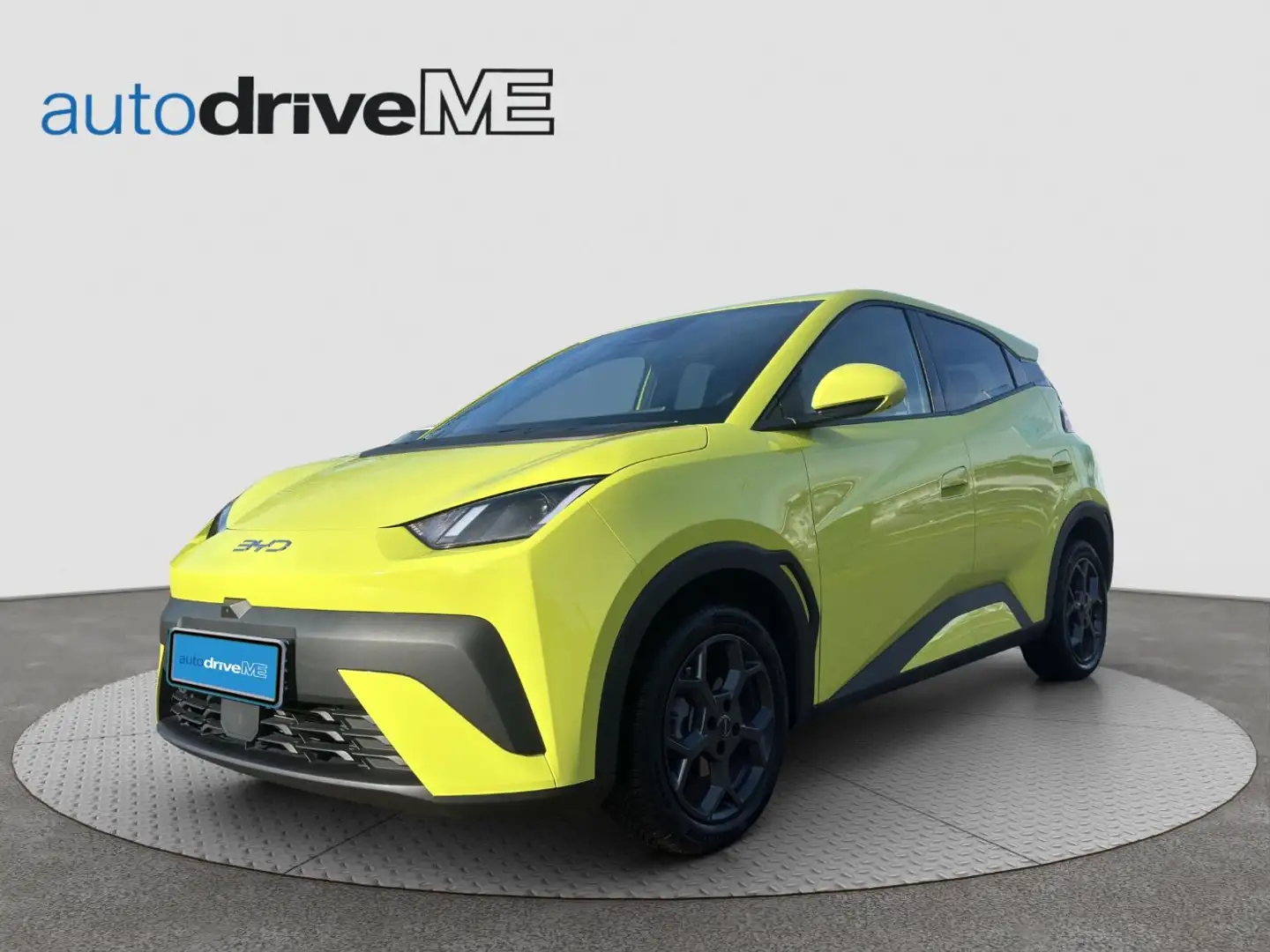 BYD Dolphin Surf Active Grau - 1