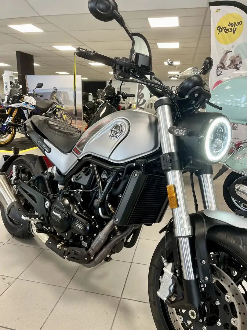 Benelli Leoncino Gris - 1