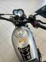 Benelli Leoncino Gris - thumbnail 5