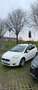 Fiat Grande Punto 3p 1.4 natural power Active 77cv - thumbnail 1