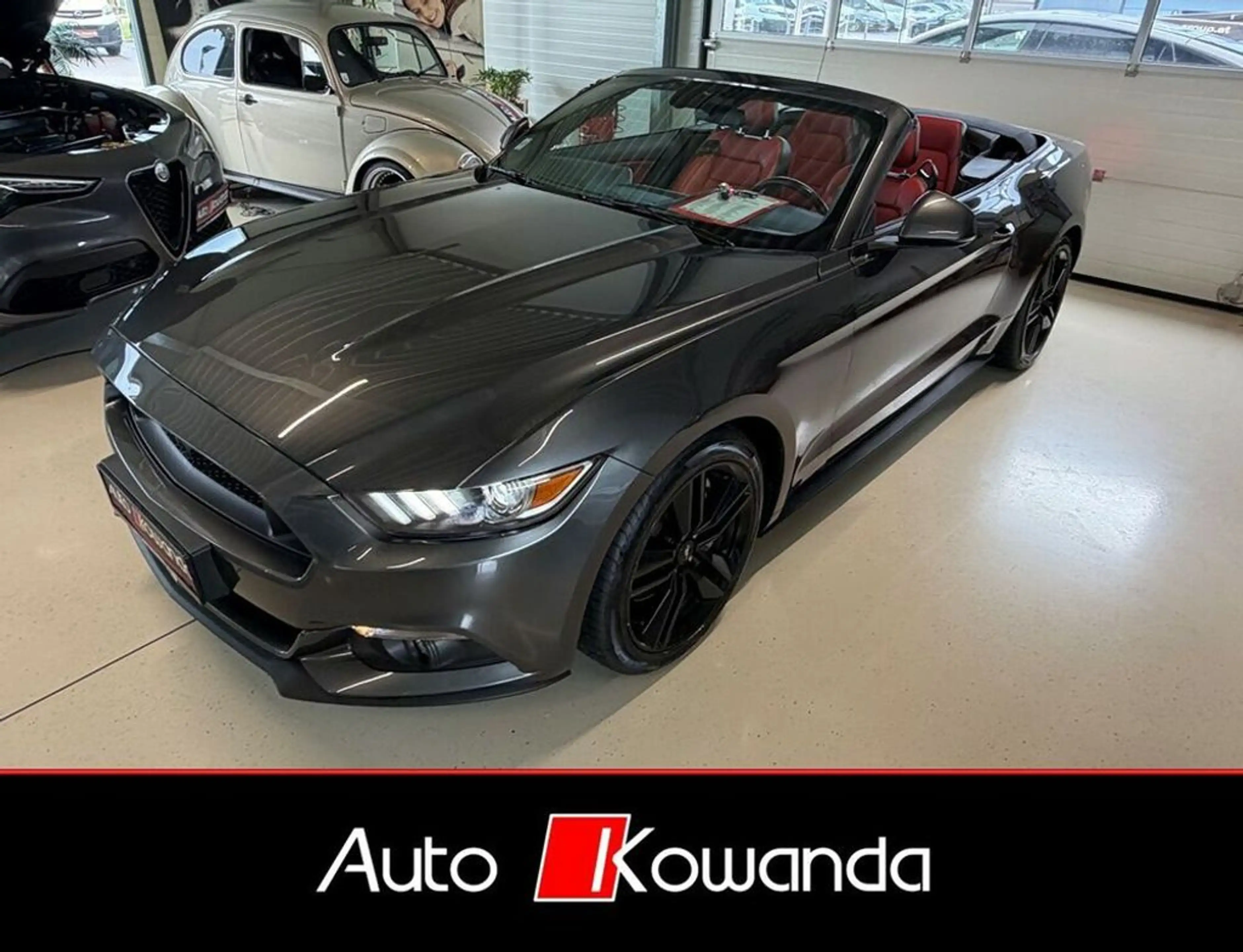 Ford Mustang Cabrio 2,3 -Wenig Km — photo 3