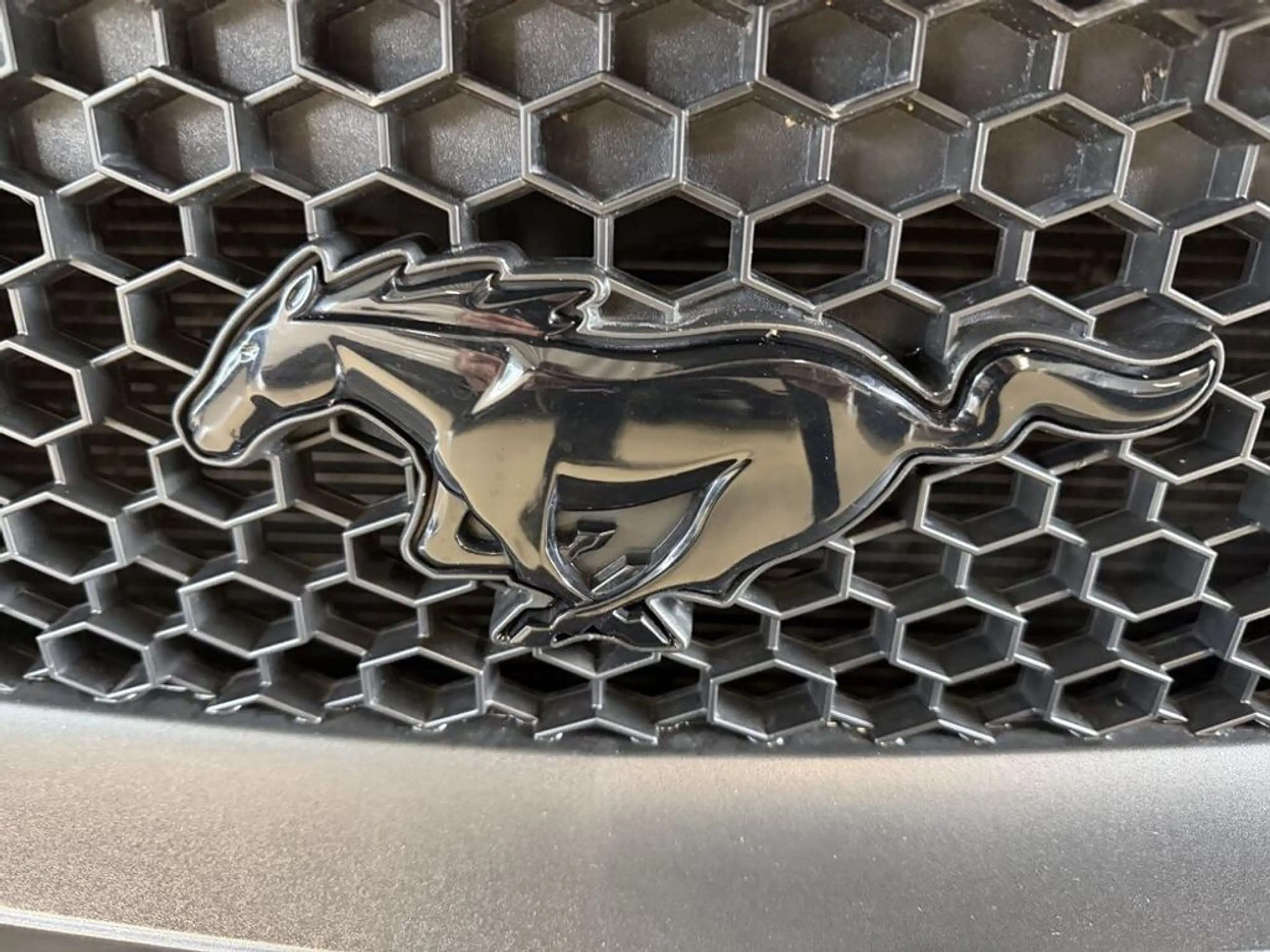 Ford Mustang Cabrio 2,3 -Wenig Km — photo 12