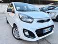 Kia Picanto Picanto II 2011 1.0 Easy 5p Bianco - thumbnail 6