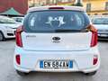 Kia Picanto Picanto II 2011 1.0 Easy 5p Bianco - thumbnail 5