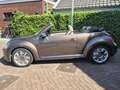 Volkswagen Beetle 1.2 TSI Design Bruin - thumbnail 7
