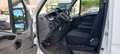 Iveco Daily 35 C 13 D DPF Weiß - thumbnail 8