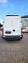 Iveco Daily 35 C 13 D DPF Weiß - thumbnail 6