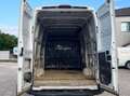 Iveco Daily 35 C 13 D DPF Weiß - thumbnail 7