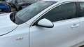 Kia Ceed / cee'd 1.0 MHEV Drive DCT 100 Blanco - thumbnail 16