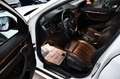 BMW X1 xDrive 18 d Sport Line LED NAVI LEDER Weiß - thumbnail 14