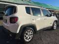Jeep Renegade 1.6 Mjt 120 CV Business Bianco - thumbnail 6
