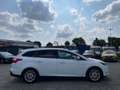 Ford Focus Titanium  AHK  Navi  Verkehrszeichen Bianco - thumbnail 10