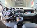 Fiat Panda Panda 1.2 Easy s Gris - thumbnail 6