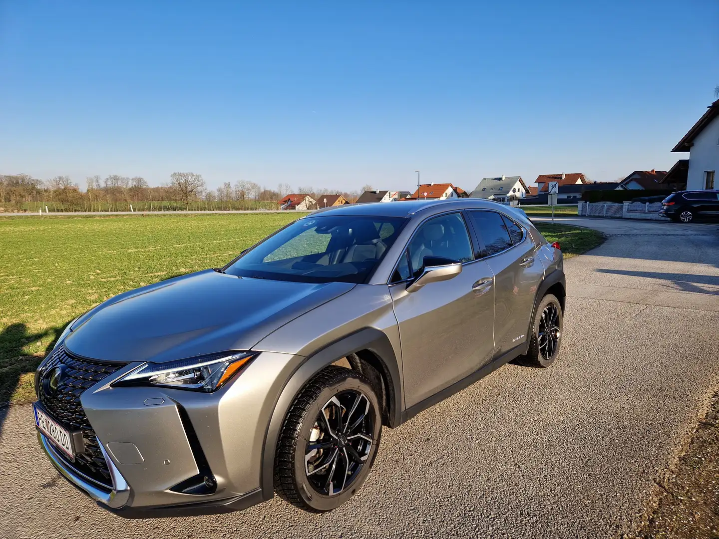 Lexus UX 250h UX 250h Style  Edition 1,4kWh Aut. Style  Edition Grau - 2