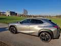 Lexus UX 250h UX 250h Style  Edition 1,4kWh Aut. Style  Edition Grau - thumbnail 1