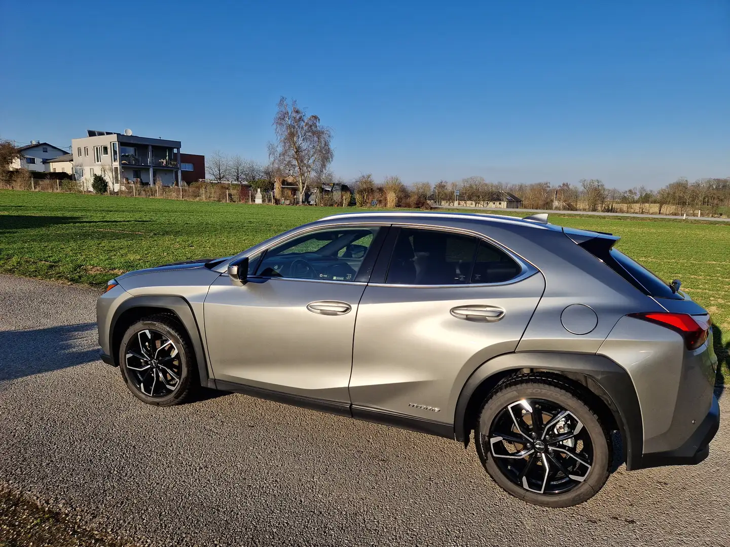 Lexus UX 250h UX 250h Style  Edition 1,4kWh Aut. Style  Edition Grau - 1