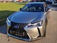 Lexus UX 250h UX 250h Style  Edition 1,4kWh Aut. Style  Edition Grau - thumbnail 3